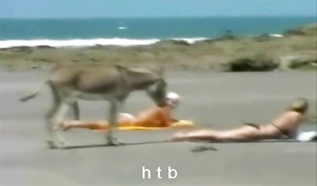 جايدن جيمس المشاغب في الجنس العربي افلام منصبه